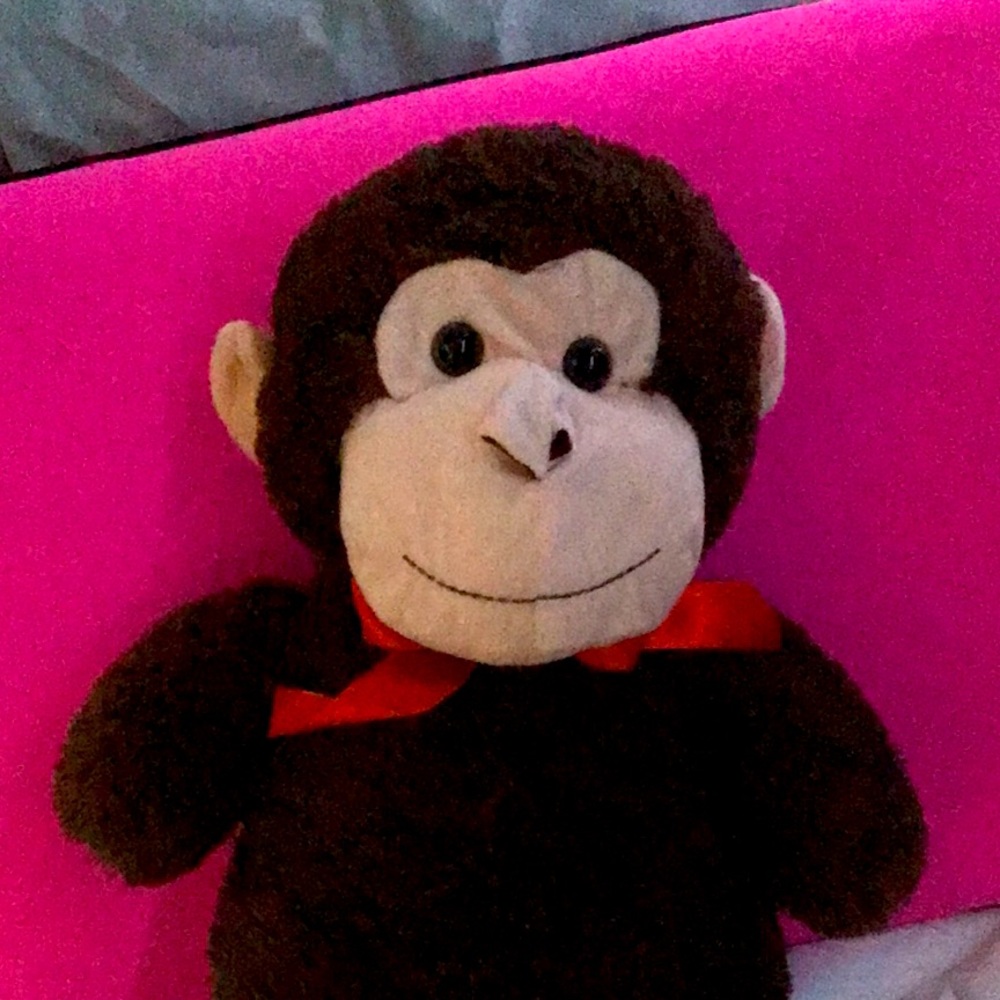The monkey !!!🐒